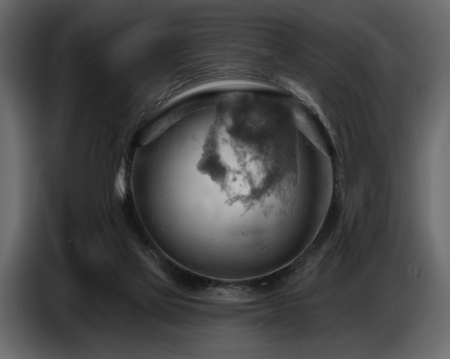 X0000087740069200705071101