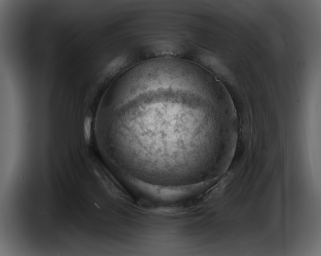 X0000087740070200705071101