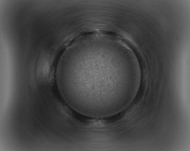 X0000087740073200705071101