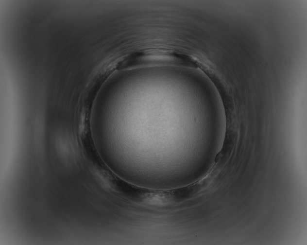 X0000087740074200705071101