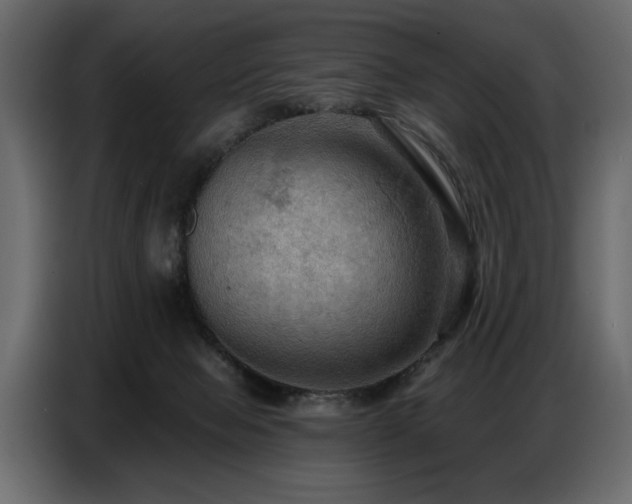 X0000087740077200705071101