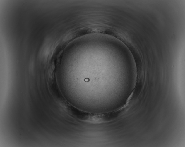 X0000087740078200705071101