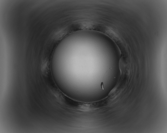X0000087740079200705071101