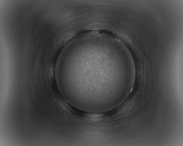X0000087740081200705071101