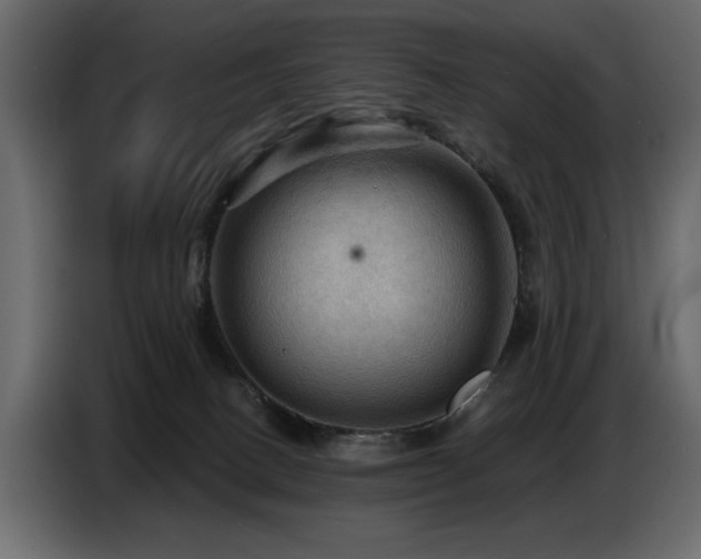 X0000087740082200705071101