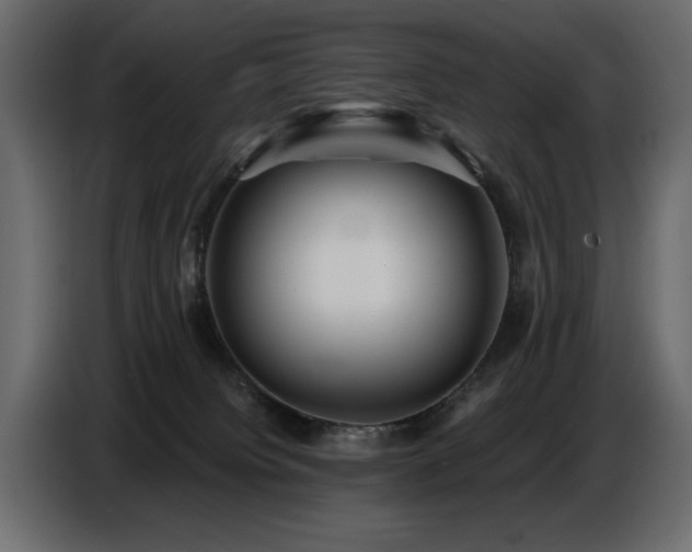 X0000087740084200705071101
