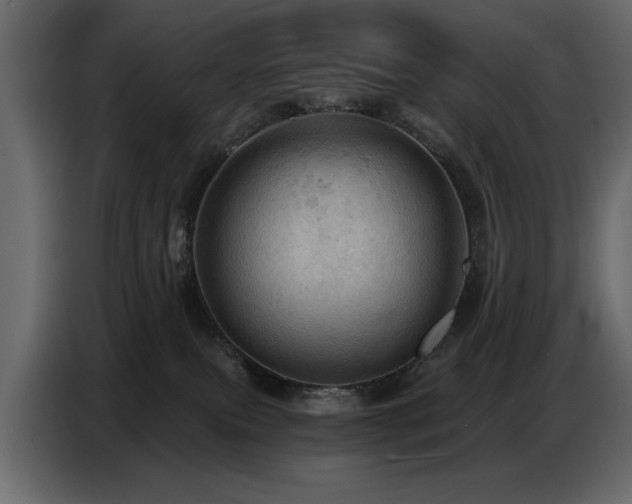 X0000087740087200705071101