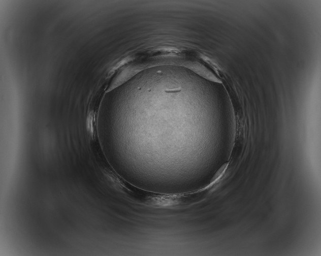 X0000087740094200705071102