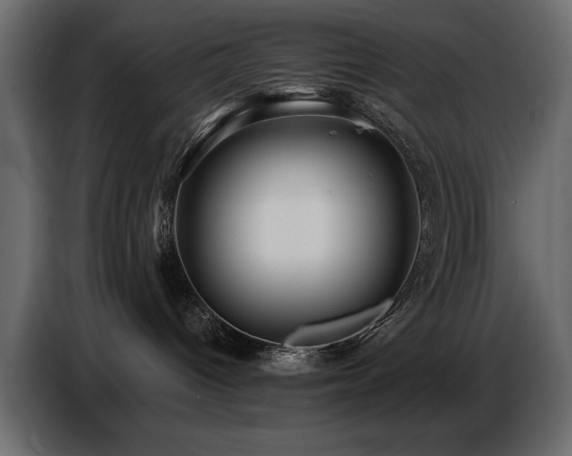 X0000087740096200705071102