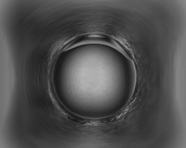 X0000087740097200705071101