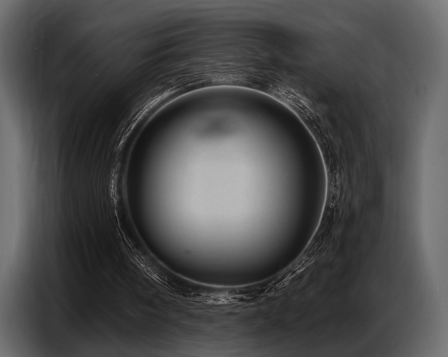 X0000087740098200705071101