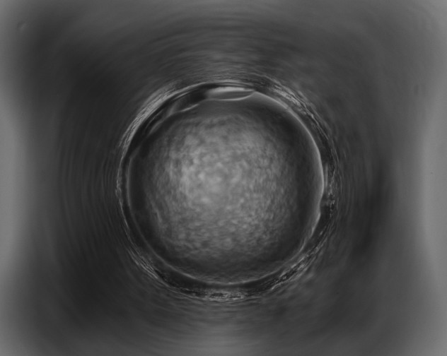 X0000087740099200705071101