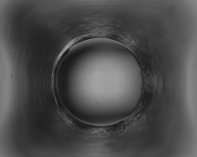 X0000087740100200705071101