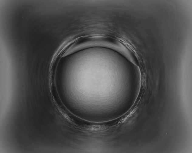 X0000087740101200705071101