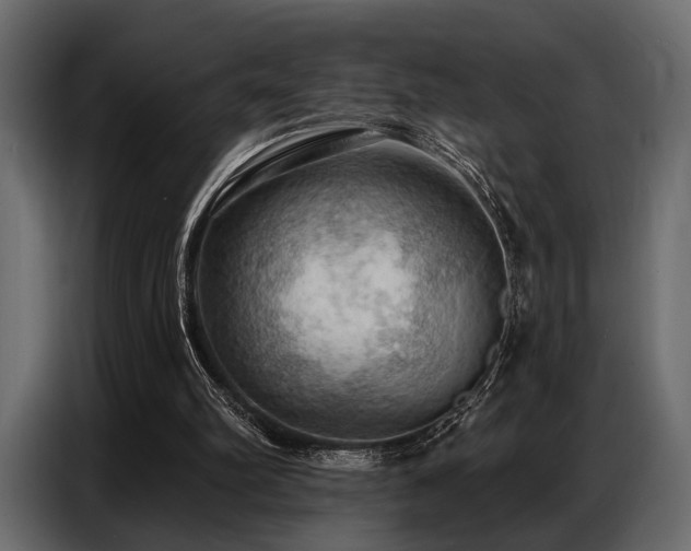 X0000087740102200705071101