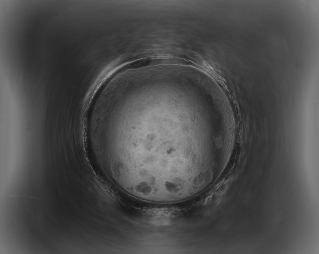 X0000087740103200705071101