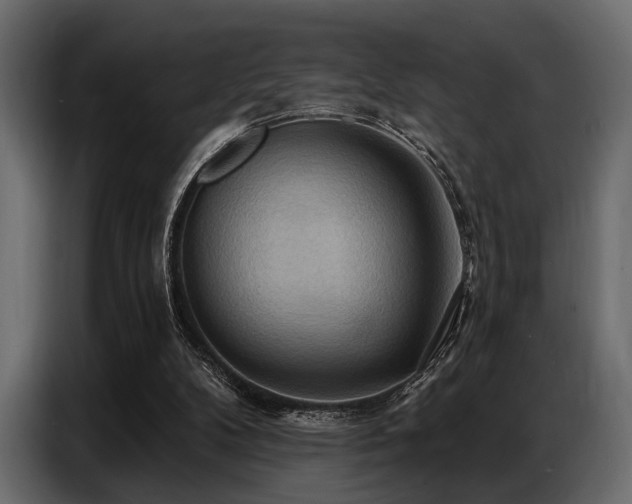 X0000087740104200705071101
