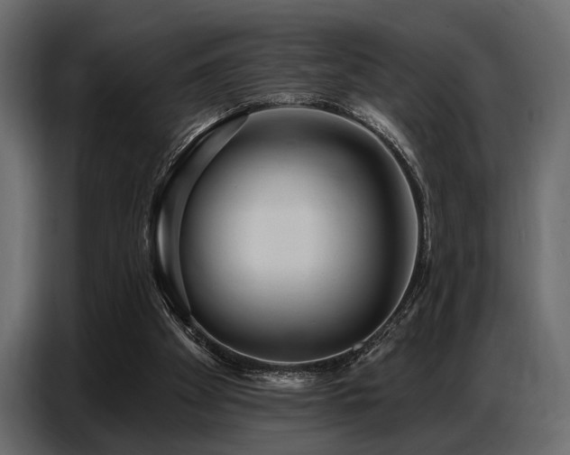 X0000087740105200705071101