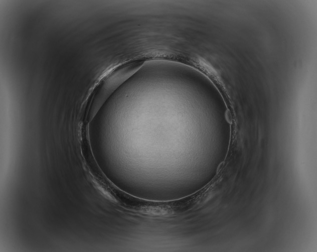 X0000087740106200705071101