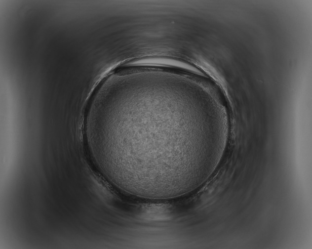 X0000087740107200705071101