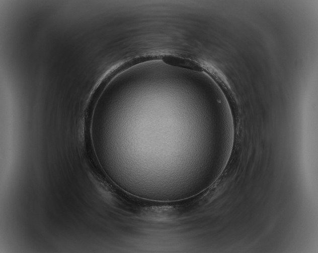 X0000087740108200705071101