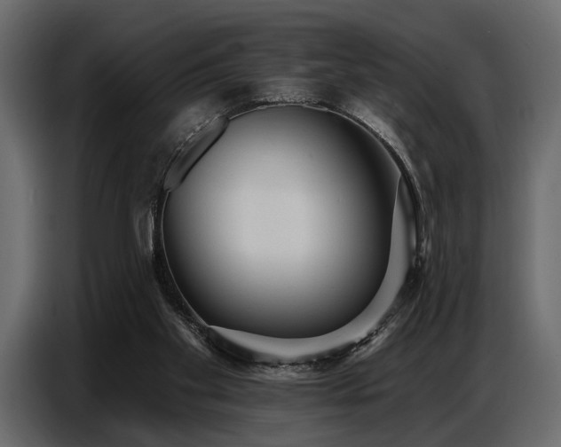 X0000087740109200705071101
