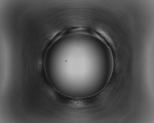 X0000087740113200705071101