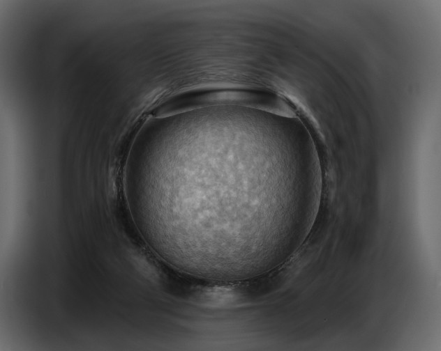 X0000087740114200705071101