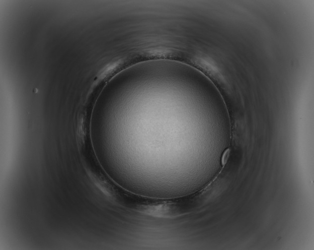 X0000087740116200705071101