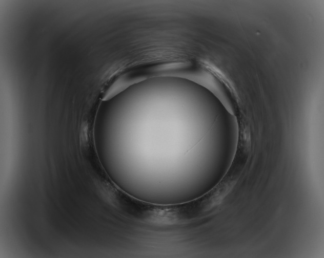 X0000087740117200705071101