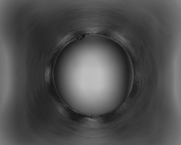 X0000087740118200705071101