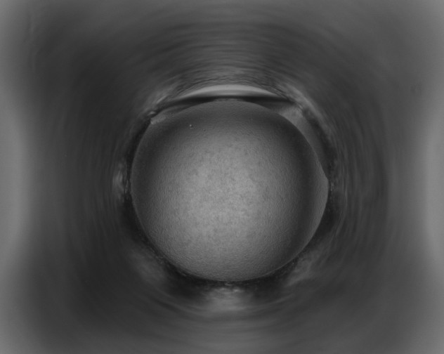 X0000087740119200705071101