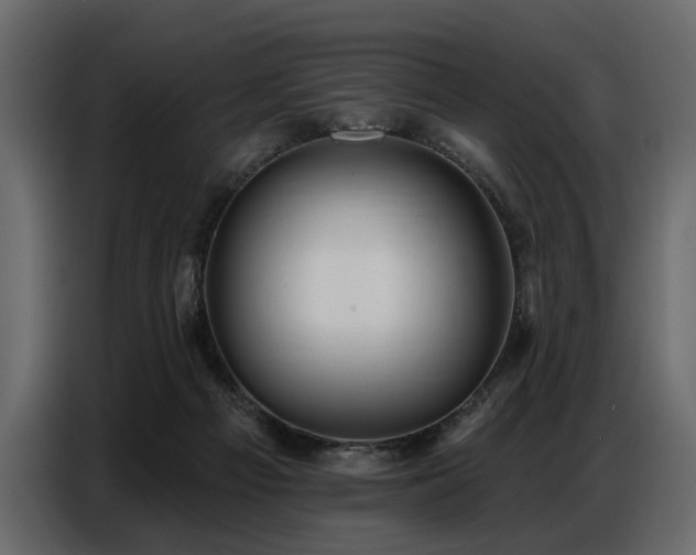 X0000087740121200705071101