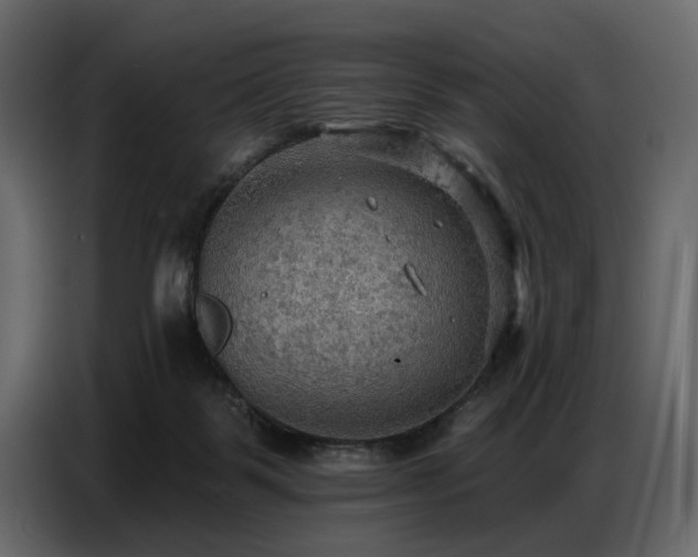 X0000087740123200705071101