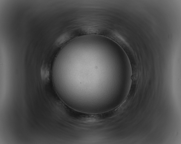 X0000087740124200705071101