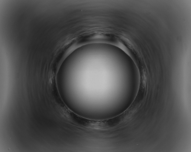 X0000087740125200705071101