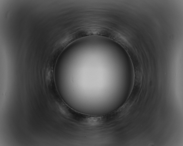 X0000087740126200705071101