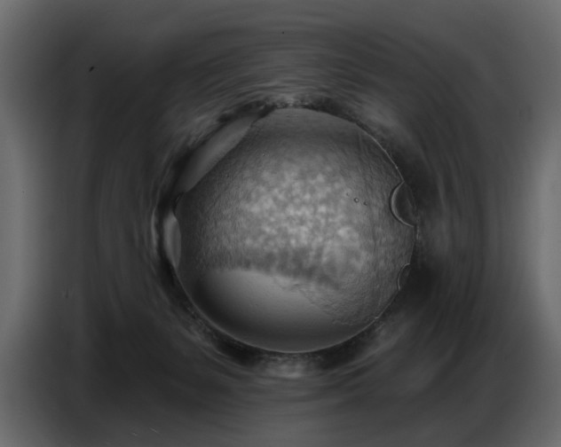 X0000087740127200705071101