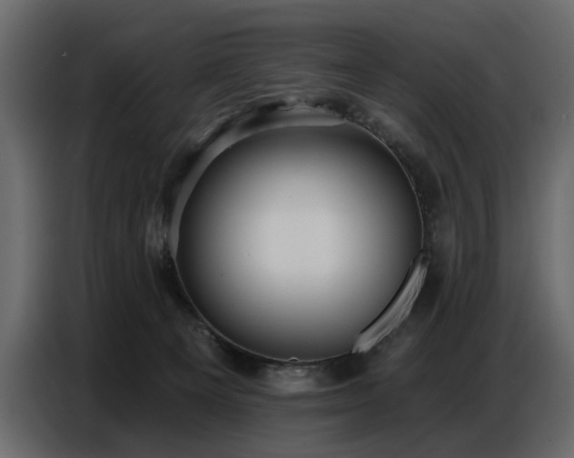 X0000087740129200705071101