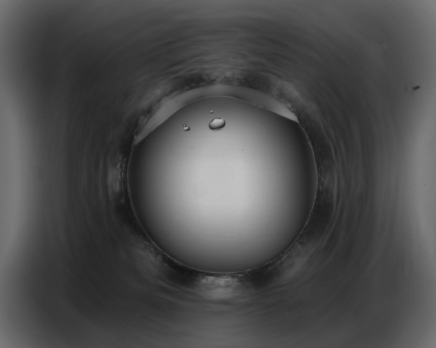 X0000087740133200705071100