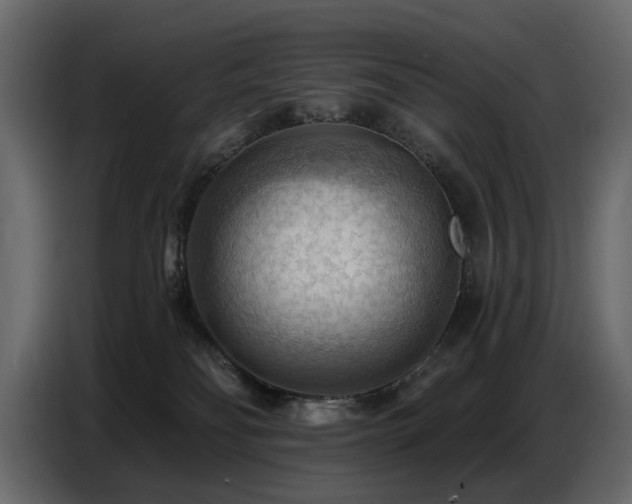 X0000087740134200705071100