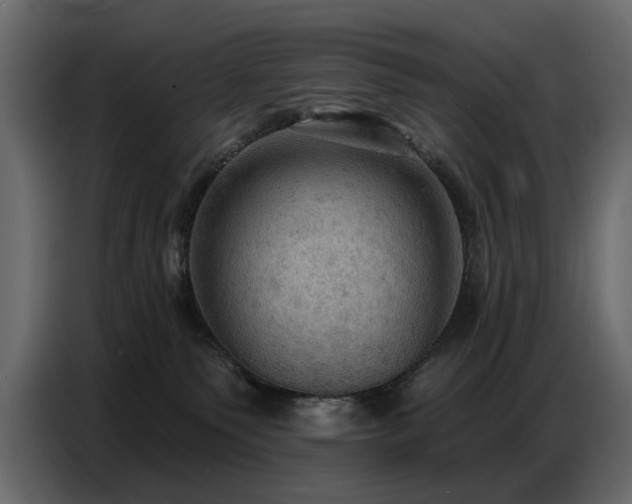 X0000087740135200705071100