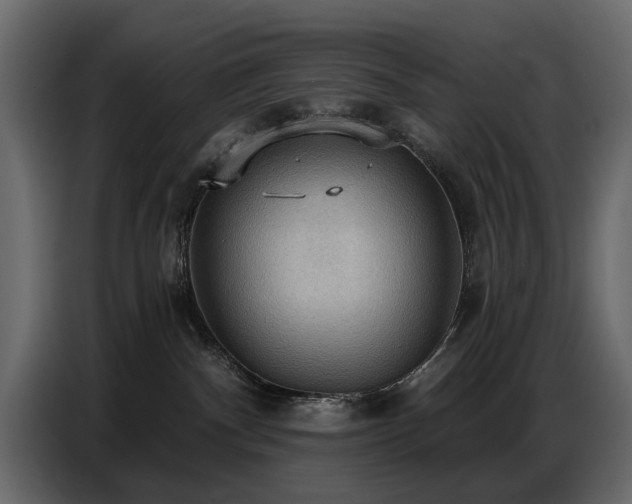 X0000087740140200705071100