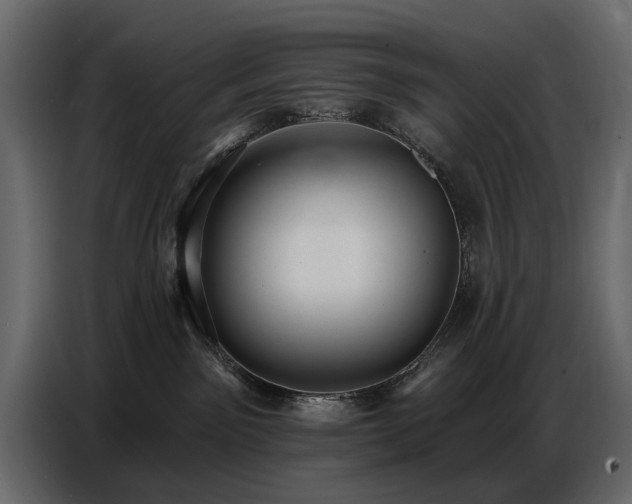X0000087740141200705071100