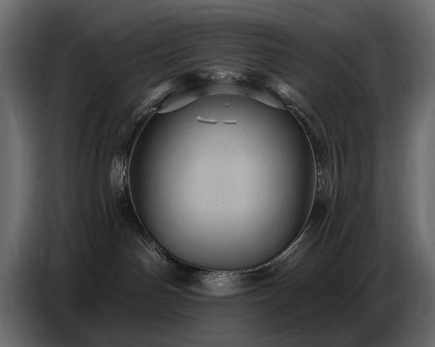 X0000087740142200705071100