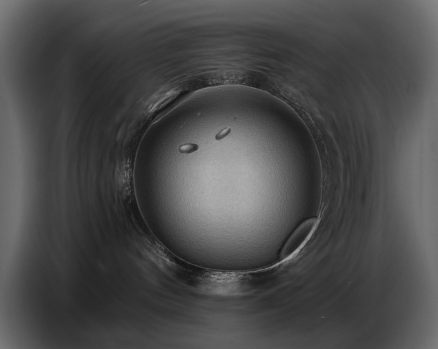 X0000087740144200705071100
