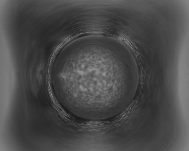 X0000087740145200705071100