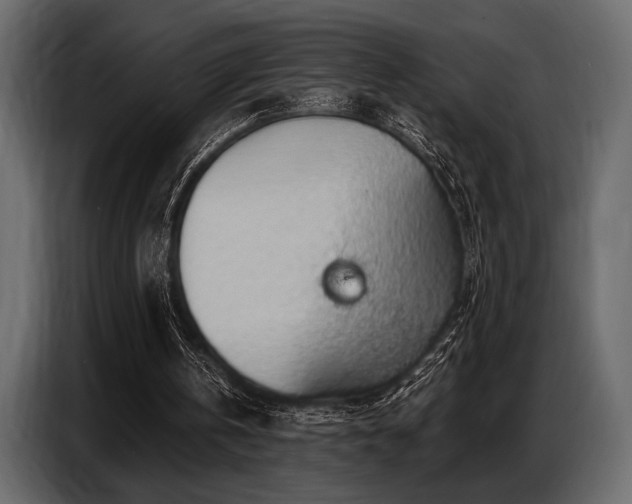 X0000087740146200705071100