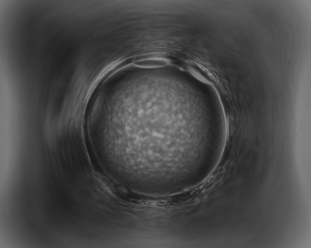 X0000087740147200705071100