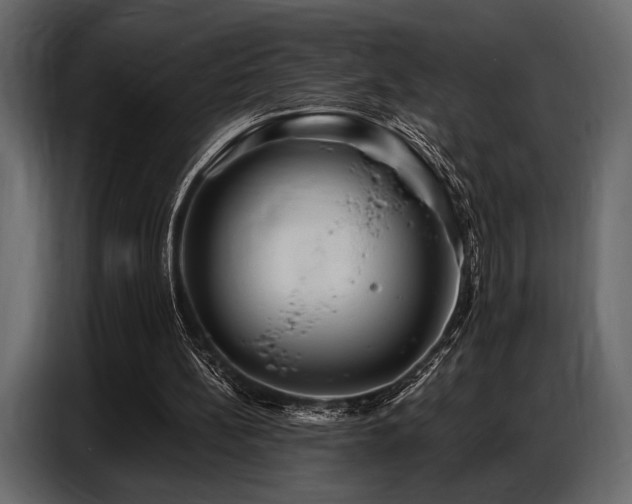 X0000087740148200705071100
